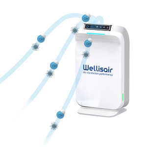 Wellisair Clean Air Device - Axair Fans Wellisair Clean Air Device - Axair Fans