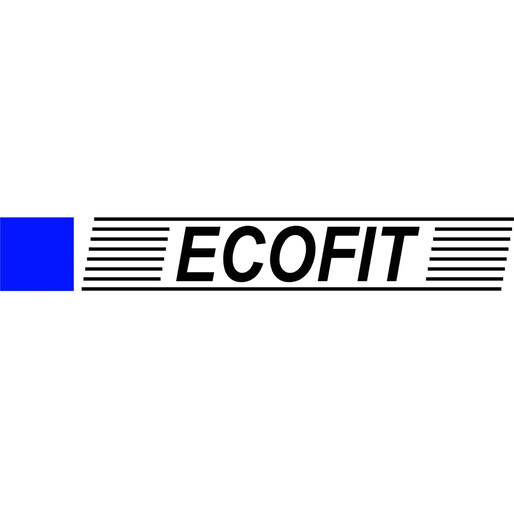 Fan Manufacturer Ecofit