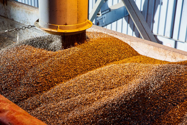 Material Handling Fans for Grain Processing