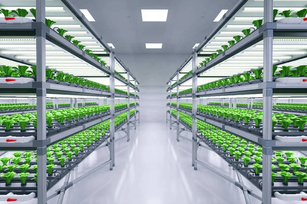 Fans for Plant Growth Rooms - Axair Fans Fans for Plant Growth Rooms - Axair Fans